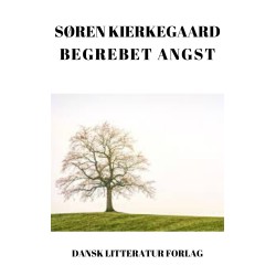 Begrebet angst: Begrebet angest