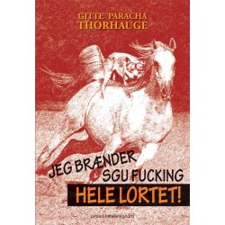 Jeg brænder sgu fucking hele lortet