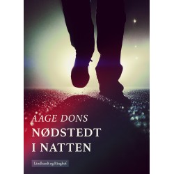 Nødstedt i natten