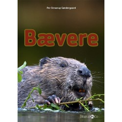 Bævere