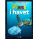 Plast i havet