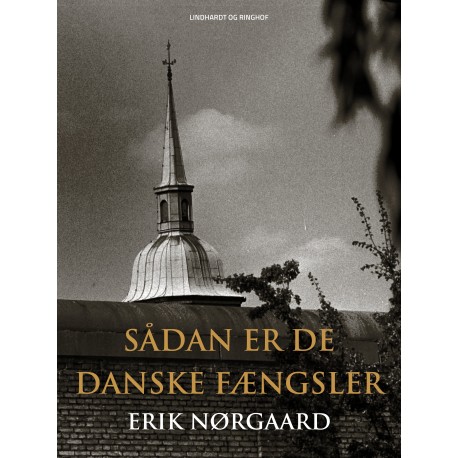 Sådan er de danske fængsler