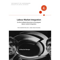 Labour Market Integration: On the multiple dimensions of immigrant labour