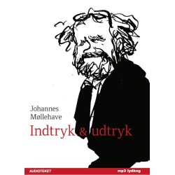 Indtryk og udtryk