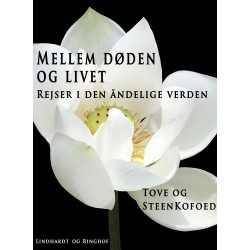 Mellem døden og livet