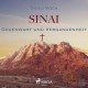 Sinai, Gegenwart und Vergangenheit