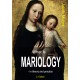 What is mariology?: - in theory and practice