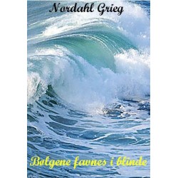 Bølgene favnes i blinde