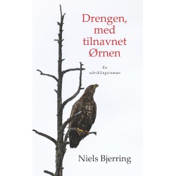 Drengen, med tilnavnet Ørnen: En udviklingsroman