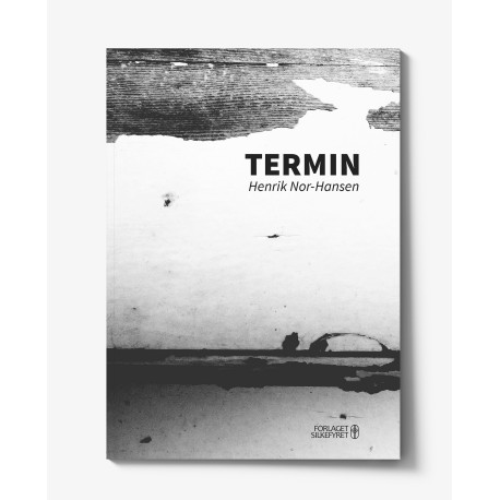 Termin: En fremstilling af vold i Norge