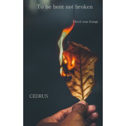 To be bent, not broken: Flecti non frangi