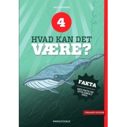 Hvad kan det være? 4