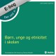 Det ved vi om - børn, unge og etnicitet i skolen
