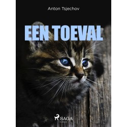 Een toeval