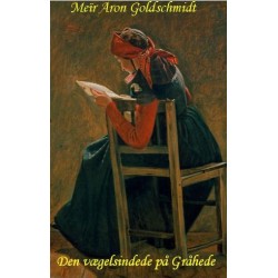 Den vægelsindede på Gråhede