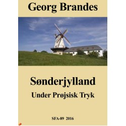 Sønder jylland, under prøjsisk tryk