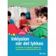 Inklusion når det lykkes