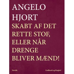 Skabt af det rette stof, eller Når drenge bliver mænd!