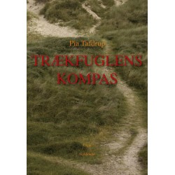 Trækfuglens kompas