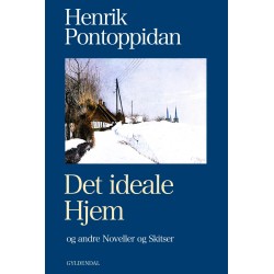 Det ideale Hjem: og andre Noveller og Skitser