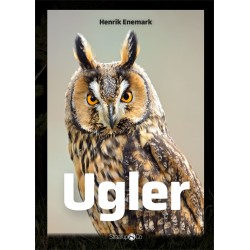 Ugler