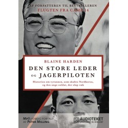 Den store leder og jagerpiloten