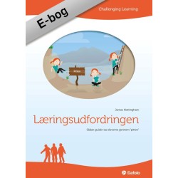 Læringsudfordringen