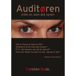 Auditøren: Intet er, som det syner
