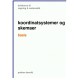 koortdinatsystemer og skemaer basis, brikkerne til regning & matematik