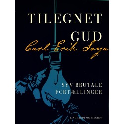 Tilegnet Gud. Syv brutale fortællinger