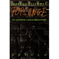 Popsange: - en moderne kærlighedsaffære