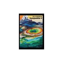 SYNSPUNKTER 4