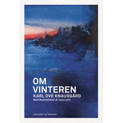 Om vinteren