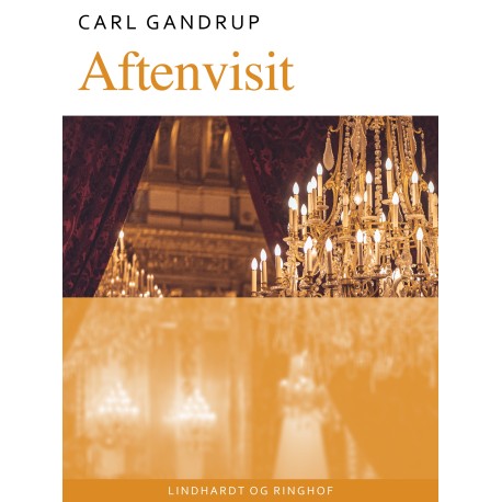 Aftenvisit