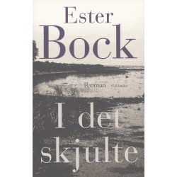 I det skjulte