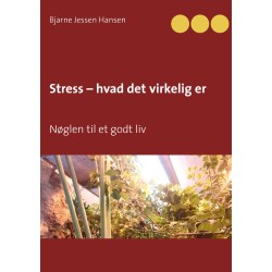 Stress – hvad det virkelig er: Nøglen til et godt liv