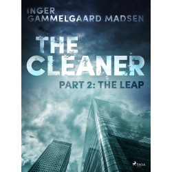 The Cleaner 2: The Leap