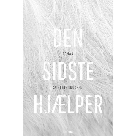 Den sidste hjælper
