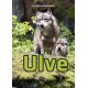 Ulve