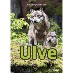 Ulve