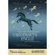 Universets engle
