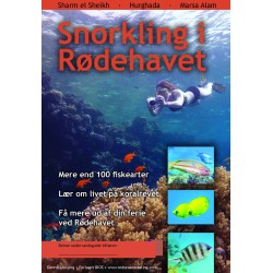 Snorkling i Rødehavet: Sharm el Sheikh, Hurghada, Marsa Alam