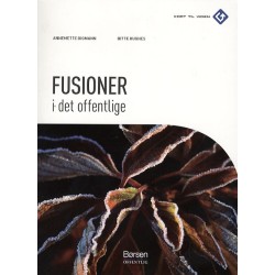 Fusioner i det offentlige