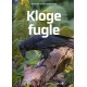 Kloge fugle