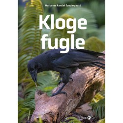 Kloge fugle