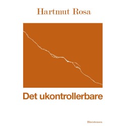 Det ukontollerbare