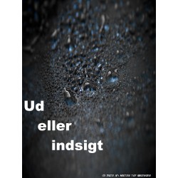 Ud eller indsigt