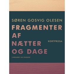Fragmenter af nætter og dage. Kortprosa