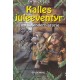 Kalles juleeventyr: En kalenderhistorie