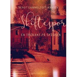 Skiftespor. En trekant på spidsen